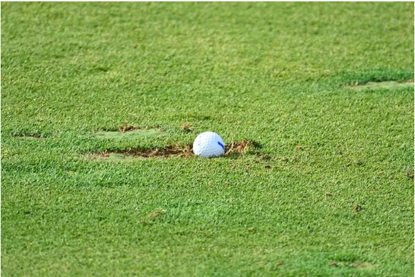 sân golf