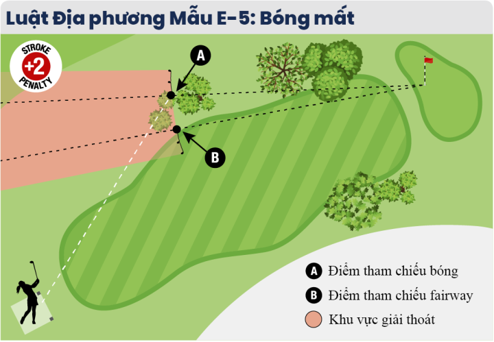 luật địa phương mẫu E-5: Bóng mẩt