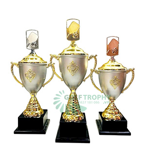 Cúp Pickleball kim loại màu xám - PIC-2101