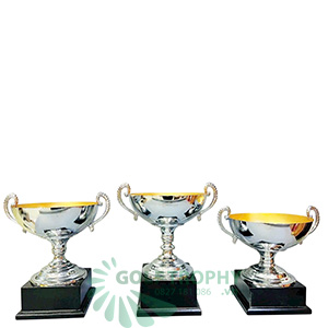 Cúp kim loại màu bạc - GTP-4263 
