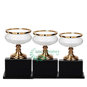 Cúp pha lê gắn kim loại - PL153
