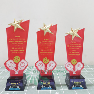 Cúp Pickleball pha lê gắn ngôi sao - PIC-1116 