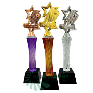 Cúp Pickleball pha lê , đỉnh pick kim loại - PIC-1208